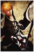 Bleach 25